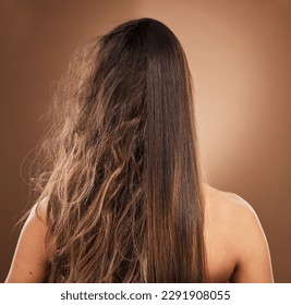 Frizz, heat damage and hair of a woman isolated on a brown background in a studio. Back, salon treatment and lady showing results from keratin treatment, before and after a hairdresser procedure