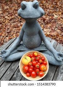 Frog Meditating On Fall Bounty #2