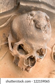 Frog Over The Skull. University Of Salamanca.