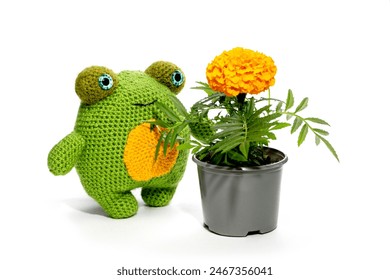 The frog is a soft knitted wool toy made of wool on a white background