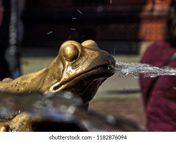 Frog Splashing Water