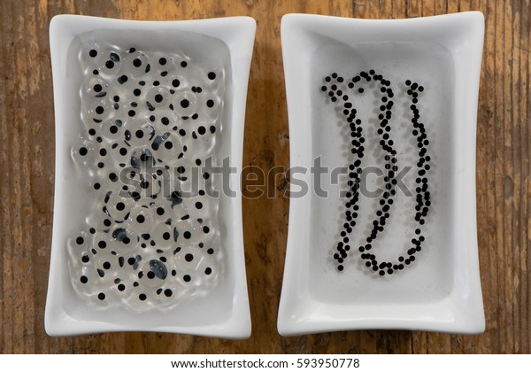 Frog and toad spawn comparison. Eggs of common frog\
(Rana temporaria) (left) and common toad (Bufo bufo) (right) side\
by side