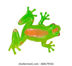 Frog Toy Isolated On White Background View From Above