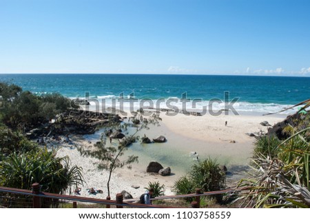 Froggy beach at Snapper Rocks.