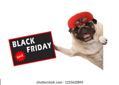 frolic pug puppy dog with red cap, holding up sale sign with text Black Friday, hanging sideways from white banner, isolated