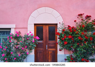 Frond Door Of The House With Red And Pink Roses - Vintage Background