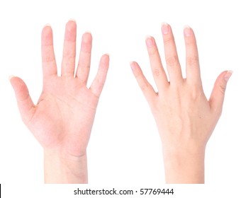 Front And Back Of The Hand On White Background (isolated, Clipping Path)