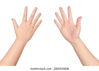 Front And Back Young Woman Hand Isolated On White Background.