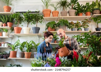 In front of the camera working couple in a family business of florist store they plants the flowers on the pot together they smiling and enjoy the process - Powered by Shutterstock