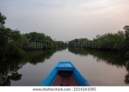 front of a dark blue boat at sunrise navigating mangrove swamps