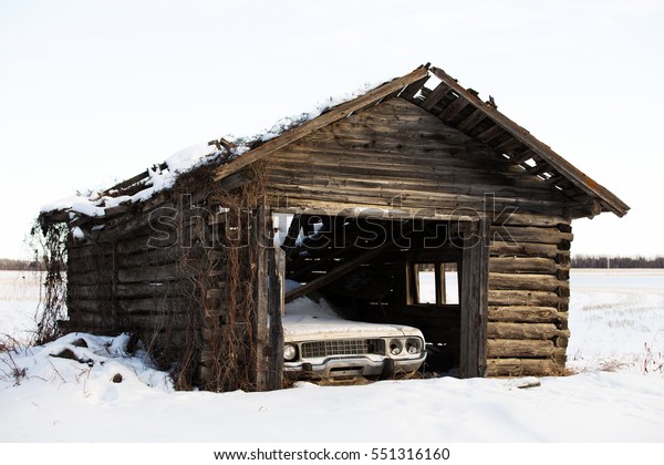 Front end of a vintage\
car stored in a abandoned crumbling old log cabin shed with vines\
growing in winter