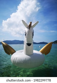 Front Face Giant Flying Horse Float At The Beach