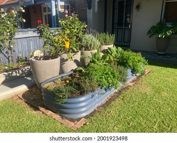 Front Garden Of A House With A Raised Vegetable Garden Beds