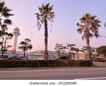 In Front Of Jeju Airport