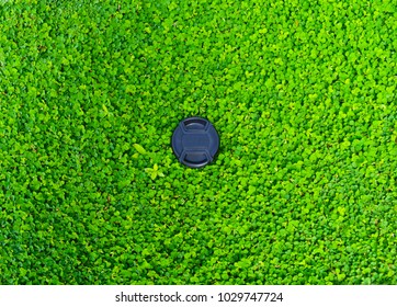 A front lens cap of a camera lying in lawn.