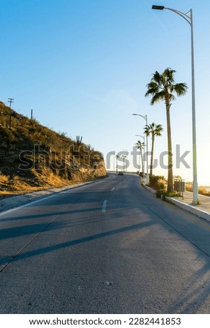 front mexican street with curve background with caribbean style, blue sky and palm trees.