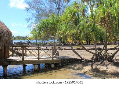 In Front Of The Museum In Huahine