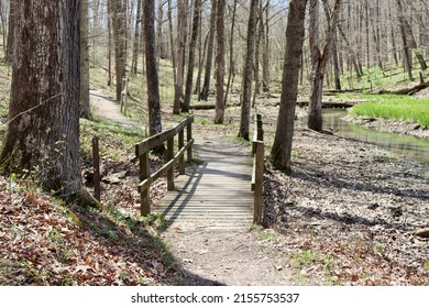 In Front Of The Old Wood Footbridge On The Trail In The Forest.