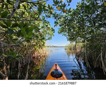 Front Of Orange Kayak On Nine Mile Pond In Everglades National Park, Florida On Sunny April Afternoon..