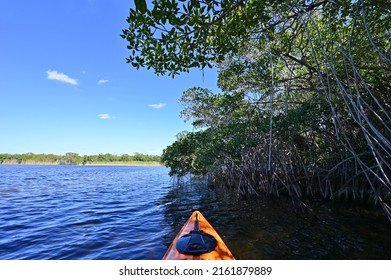 Front Of Orange Kayak On Nine Mile Pond In Everglades National Park, Florida On Sunny April Afternoon..