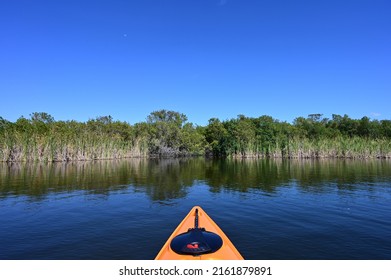 Front Of Orange Kayak On Nine Mile Pond In Everglades National Park, Florida On Sunny April Afternoon..