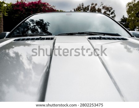 The front of a shiny silver car is captured from a low angle, showing the hood, windshield, and surrounding greenery with vibrant pink flowers