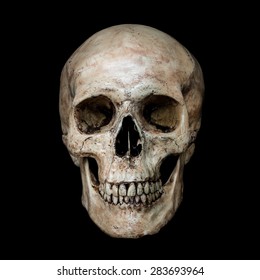 Skull Face Images Stock Photos Vectors Shutterstock