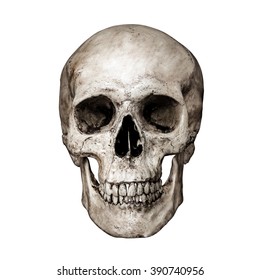 Front side view of human skull on isolated black background with clipping path