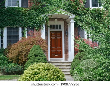 8,109 Vine covered house Images, Stock Photos & Vectors | Shutterstock