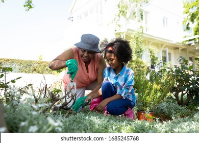 Front view of an African American grandmother with her granddaughter in the garden, kneeling and gardening together. Family enjoying time at home, lifestyle concept - Powered by Shutterstock