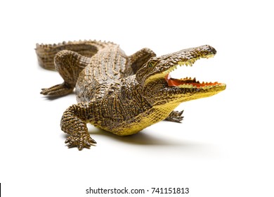 Front View Aligator Toy On A White Background