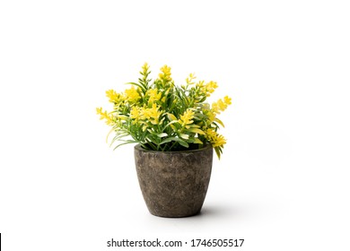Front view beautiful artificial green plant yellow flowers in brown pot isolated on white background. artificial green plants in flower pots for home and office decoration without the care.copy space