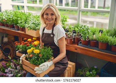 10,632 Herbalist Images, Stock Photos & Vectors | Shutterstock