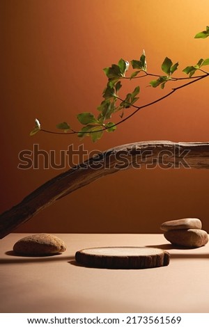 Front view of branch tree decorated with green leaf and wooden dish with blank space for advertising 