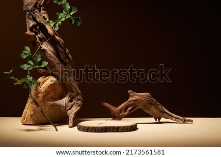 Front view of branch tree decorated with rock and green leaf blank space in brown background 