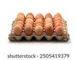 Front view of Brown and speckled chicken eggs in the cardboard egg tray with rooms for thirty eggs isolated on white background