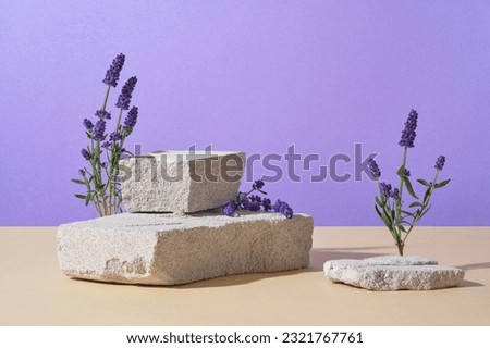 Front view of bunch of blooming lavender with gray blocks of stone decorated on purple background. Minimal scene with copy space for cosmetics, business branding and product presentation