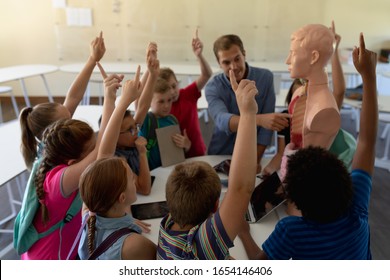 Front view of a Caucasian male teacher using a human anatomy model to teach a diverse group of elementary school children during a biology lesson, the children sitting in a circle and raisinbg their - Powered by Shutterstock