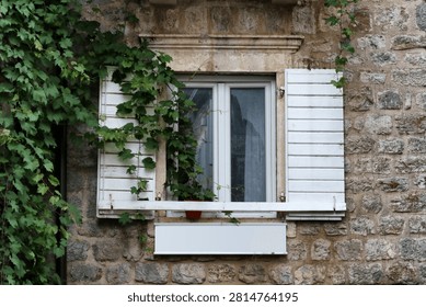 A front view of a charming old window with white wooden shutters set into a rustic stone facade. A vibrant green ivy plant or grapevine cascades down the side of the stone building, partially covering the open shutter, creating a classic European old-town atmosphere.