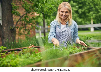 780 Female Herbalist Images, Stock Photos & Vectors | Shutterstock