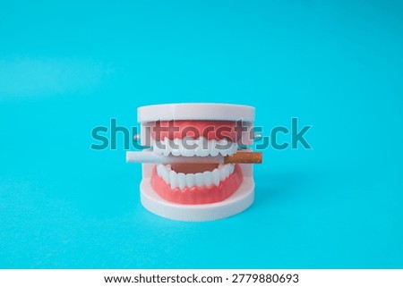 Front View Of Cigarette Held In Human Jaw Model Dental Health Concept