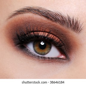 Front view of a close-up female eye with brown eyeshadow make-up