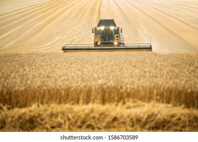 Front View Of Combine Harvester Harvesting Wheat Crop - Shutterstock ID 1586703589