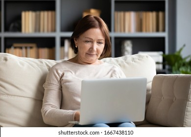 Front view concentrated pleasant mature older woman looking at computer screen. Happy middle aged lady web surfing information, ordering food online, chatting in social networks, playing game.