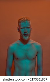 Front View Of Confident Albino Caucasian Guy Looking At Camera. Young Modern Bearded Blonde Man Of Generation Z With Naked Torso. Isolated On Orange Background. Studio Shoot. Copy Space