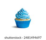 Front view delicious blue cupcake with light blue cream isolated on white background