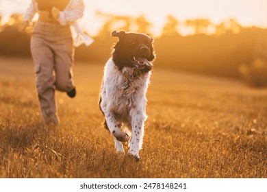 Front view of dog running with girl across field at sunset. Happy Czech Mountain Dog with pet owner.
 - Powered by Shutterstock