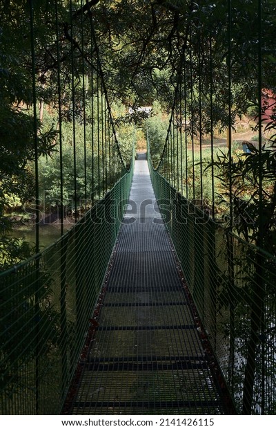 Front view of the entrance to a suspension\
bridge. The entrance is surrounded by the green trees of the forest\
or jungle.