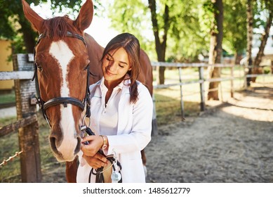 Front view. Female vet examining horse outdoors at the farm at daytime. - Powered by Shutterstock