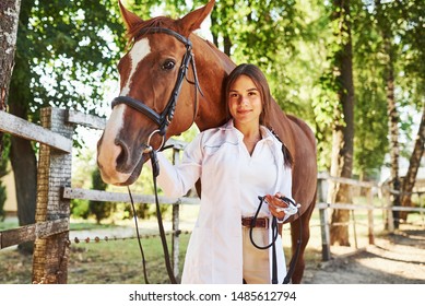 Front view. Female vet examining horse outdoors at the farm at daytime. - Powered by Shutterstock